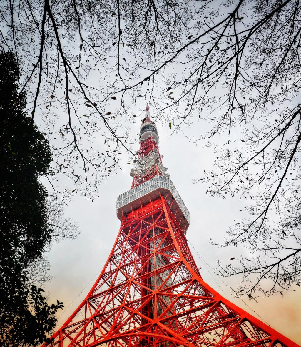 A Day in Black Owned&nbsp;Tokyo